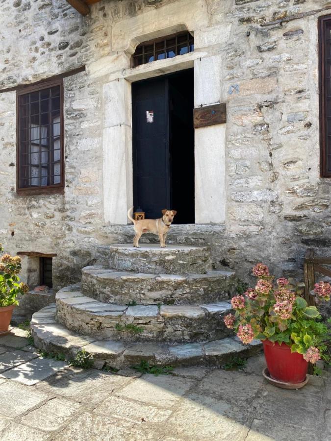 Hotel Alatinos Pinakátai Exteriér fotografie